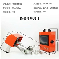 上海发动机打码机/气动打码机教学用实验室自动扫码打标刻字