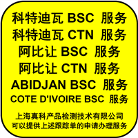 需要办阿比让BSC NUMBER