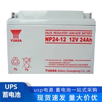 汤浅蓄电池NP24-12 12v24ah 铅酸免维护 UPS电源 12V38AH 65AH 100AH 7AH