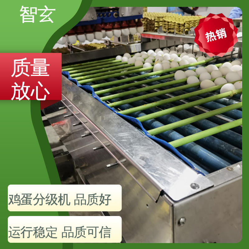 厂家供应 质量可信 功率750W（KW) JT600鸡蛋分级设备 智玄