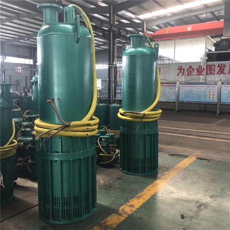 BQS潜水式隔爆型井下排水泵 55KW矿用隔爆潜水泵