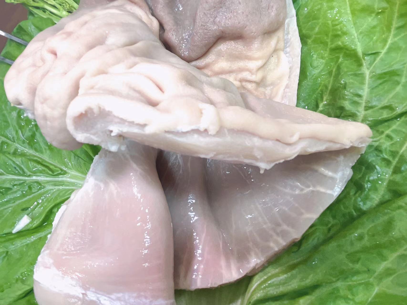 新鲜冷冻半烫熟猪肚饭店食堂商用