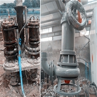 坚固耐用电动潜水抽泥泵/大颗粒尾浆泵