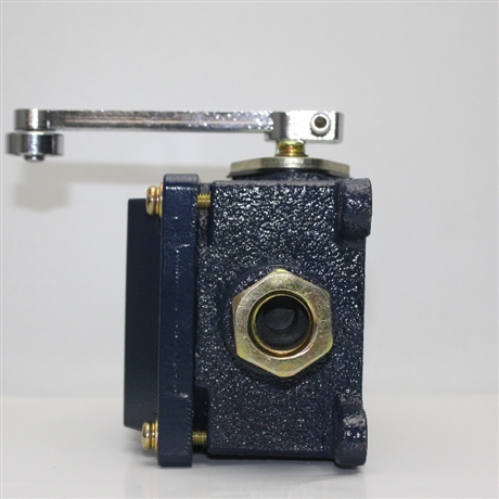 JOSEF约瑟  限位开关LX918-120 500V 5A    智能运算速度快