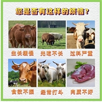 益康宝在手，牛羊采食无忧，不剩一粒料  牛羊健胃