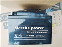 Mercke power蓄电池6GFM24通讯消防12V24AH直流屏UPS应急后备