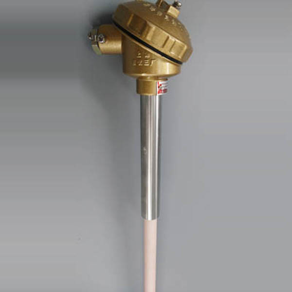 热电偶测量温度的原理 炉壁热电偶 武汉热电偶