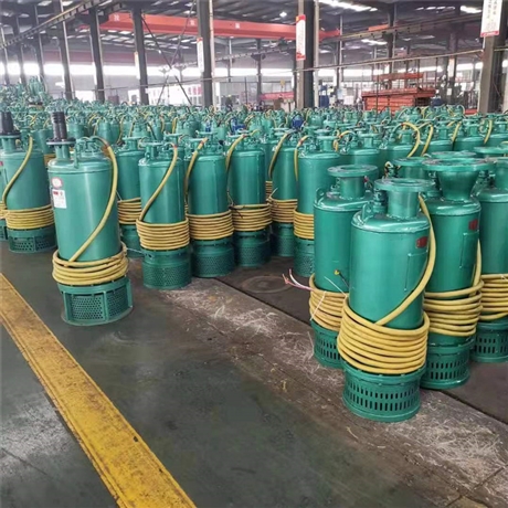 BQS矿用排沙泵 隔爆潜水泵 防爆排沙排污潜水电泵