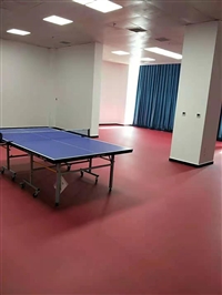 乒乓球防滑地膠 羽毛球塑膠地板