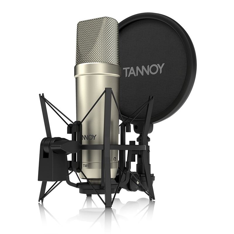 天朗TANNOY  TM1录音大振膜电容麦克风 广播电台直播话筒设备