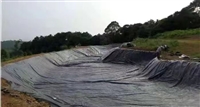 奶牛厂0.3mm防渗膜粪污发酵池防水使用