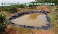 养猪防渗膜0.6毫米粪污沉淀池防水防漏气