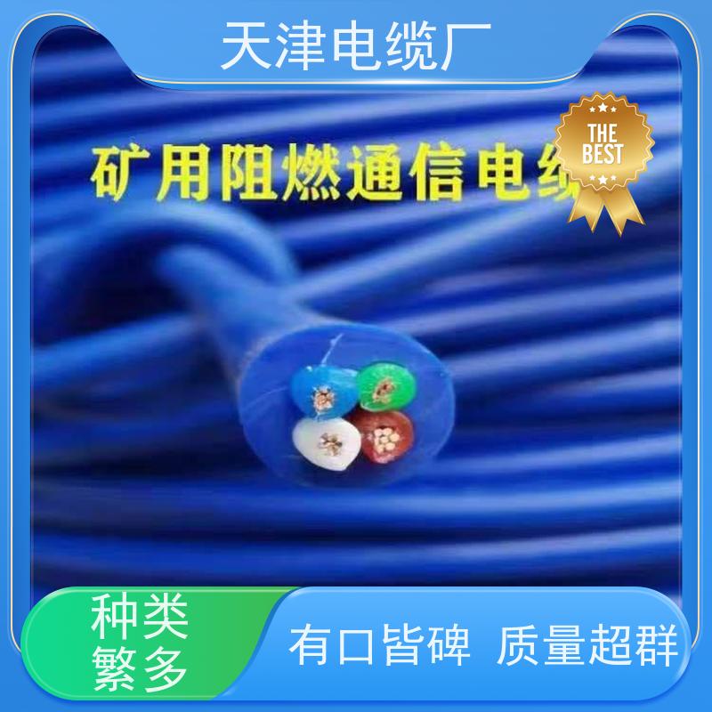 天津 供应 大对数通讯电缆 WDZ-HYA22 联通信号传输用电缆