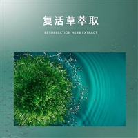 复活草日夜补水面霜oem代工