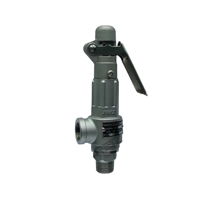 进口不锈钢安全阀 手把式 可调式 蒸汽用安全阀 美国RETZ瑞茨