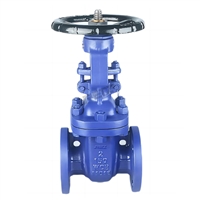 进口蒸汽闸阀 导热油 波纹管闸阀 美国RETZ瑞茨