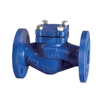 进口蒸汽止回阀 导热油 逆止阀 单向阀 美国RETZ瑞茨