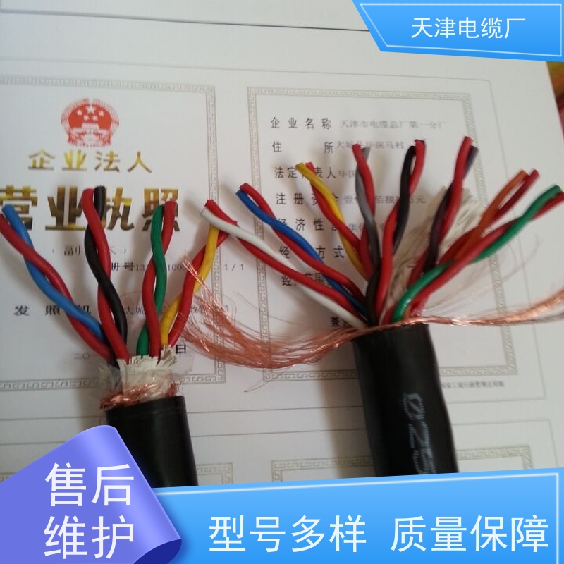 天津 生产 大对数电话电缆 ZR-HYA 电话通信用电缆