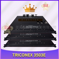 3301 TRNEX SIS(安全仪表系统)