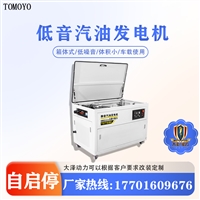 工程施工 TOTO35-V 大泽动力35kw静音发电汽油机