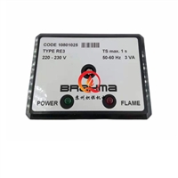 brahma程控盒RE3燃烧器检测控制器MF2