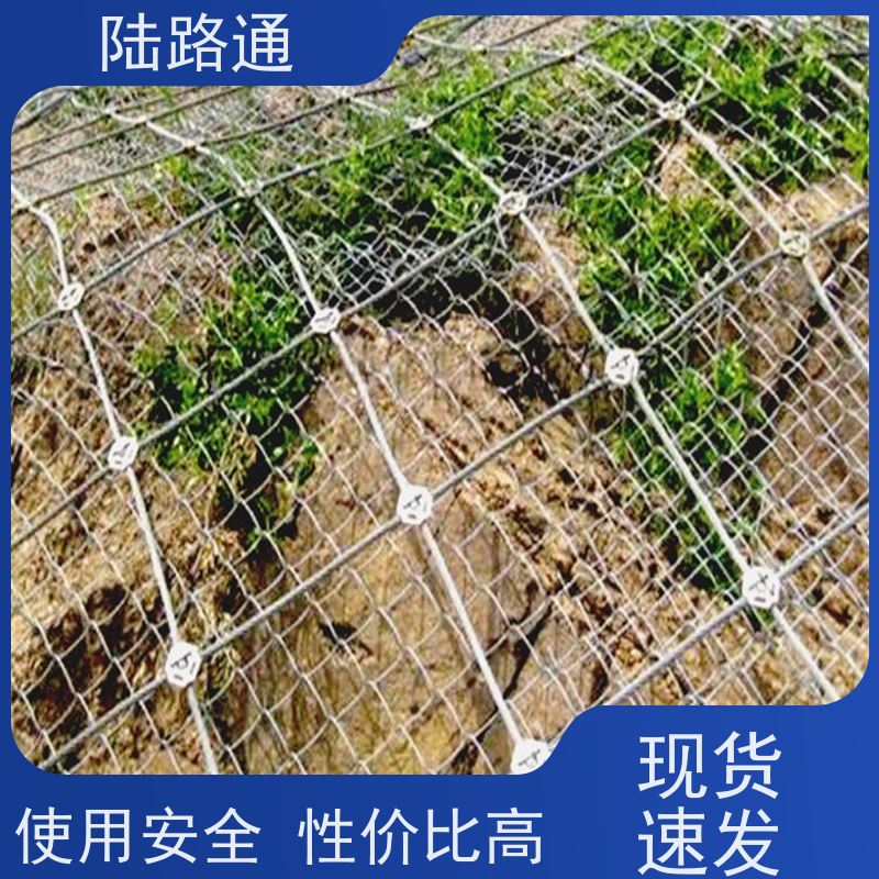 陆路通 柔性坡底防护网 柔韧性好 安装简便 高精密 国标级别 经久耐用