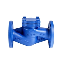 进口氨用止回阀 氨用逆止阀  美国RETZ瑞茨