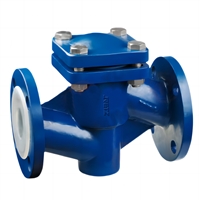 进口衬氟止回阀 美国RETZ瑞茨