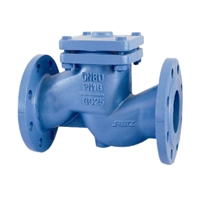 进口球墨铸铁止回阀 德标 美标铸铁逆止阀 美国RETZ瑞茨