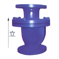进口卧立两用止回阀 无泄漏高温逆止阀 蒸汽导热油止回阀 美国RETZ瑞茨