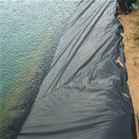 黑鱼养殖使用0.5毫米土工膜一般鱼塘黑膜