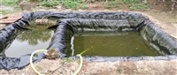 黑鱼养殖使用0.3mm防渗膜鱼池专用防水产品