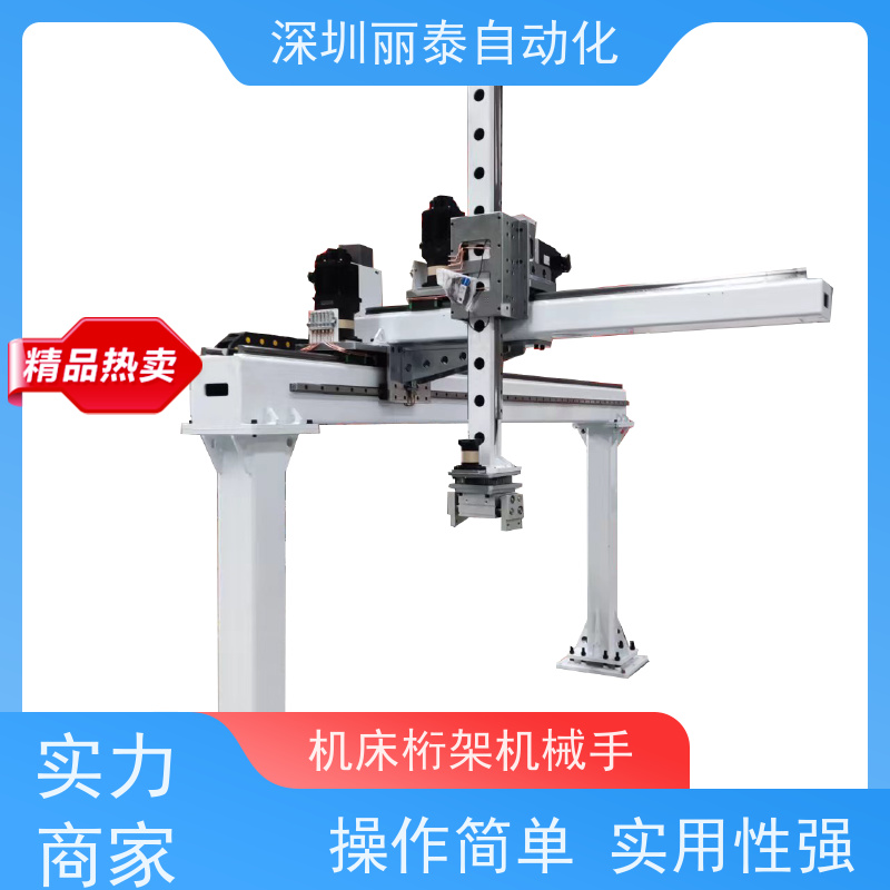 丽泰自动化 龙门码垛机  三轴重载冲压数控上下料 使用寿命长