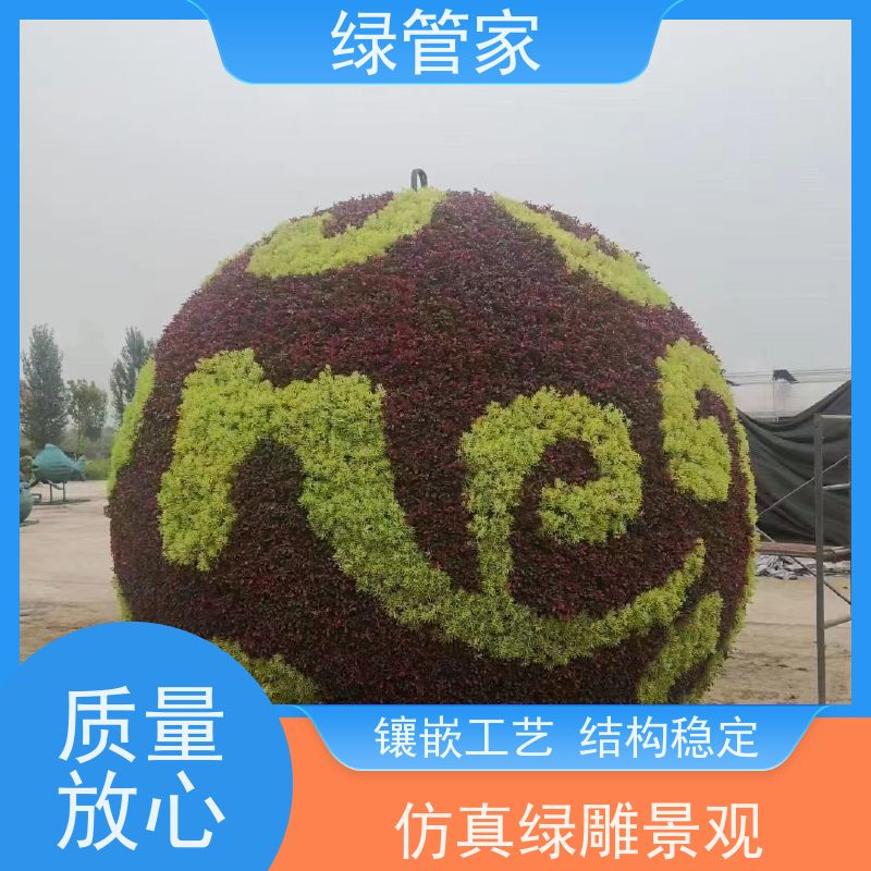 绿管家 园林绿雕   植物立体花坛造型  售后无忧 诚信经营