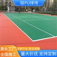 学校公园小区运动体育场地 硅pu球场 包工包料 泰嵘体育