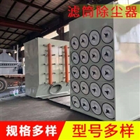 中央脉冲滤筒除尘器  沉流式反吹滤筒除尘器 