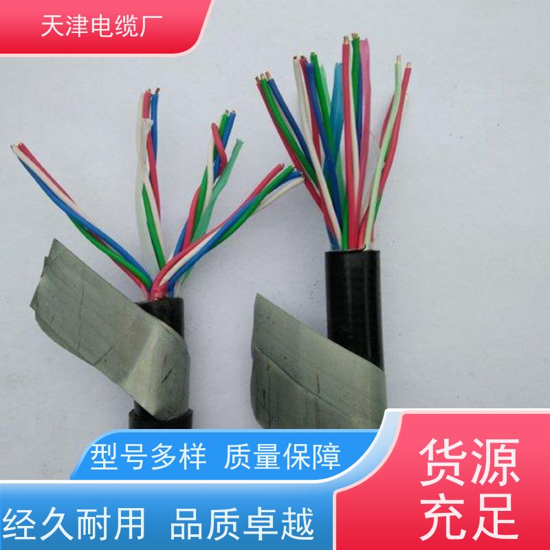 天津 制造 大对数电缆 WDZ-HYA 联通信号传输用电缆