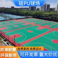 泰嵘体育 学校体育馆运动场地 硅PU球场 TR-G-0632 防滑耐磨