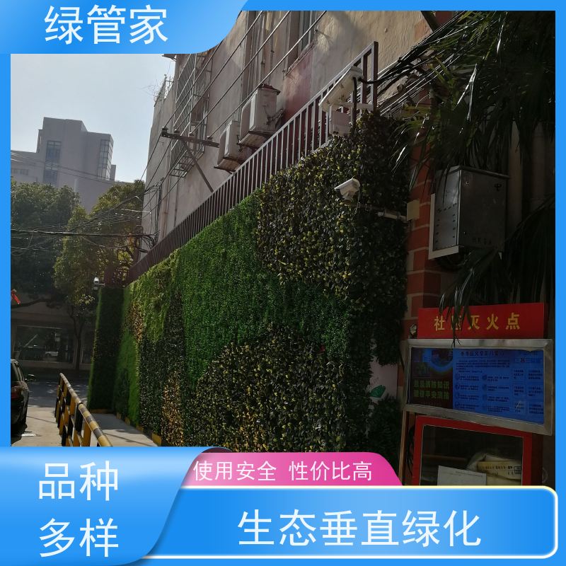 绿管家 植物墙设计 严选原材 品质放心 防火耐高温