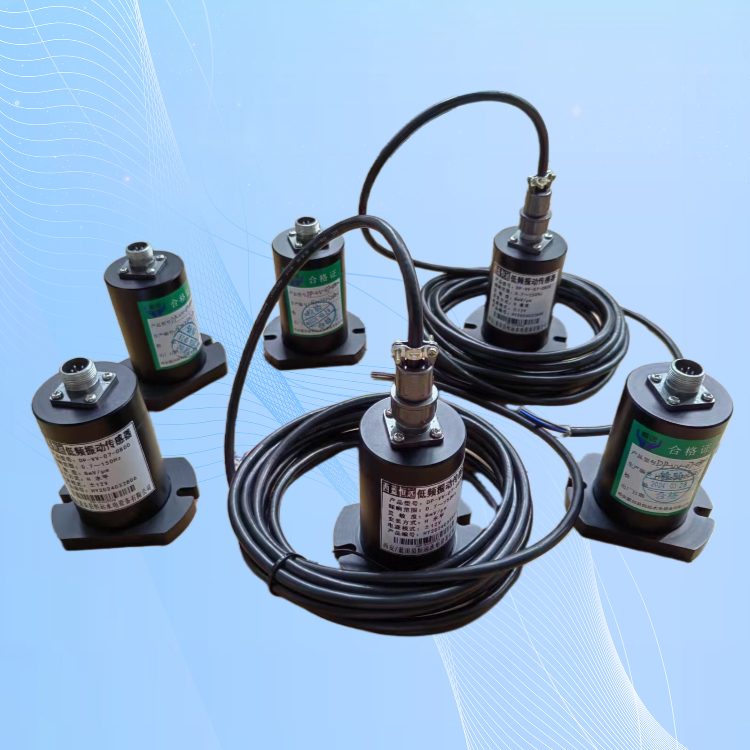 水机振摆测量系统DP-VB-400低频振动传感器安装结构