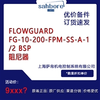 FLOWGUARD FG-10-200-FPM-SS-A-1/2 BSP阻尼器