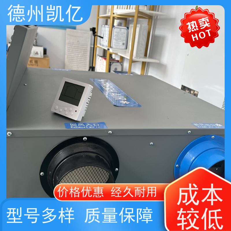 德州凯亿 重庆热回收新风系统制造商