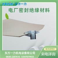 高强石墨盘根 10*10的应用领域东方一力/YOYIK