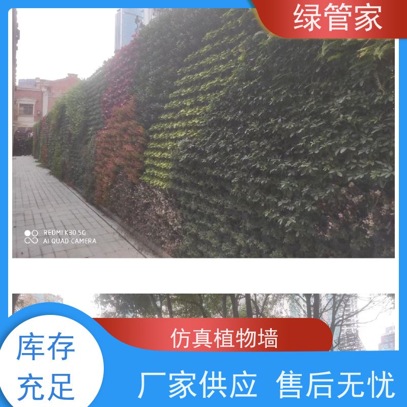 绿管家 植物墙厂家 使用安全 性价比高 经久耐用 