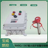 化工厂合成炉燃烧器 熄火保护控制器BWBQ-13KF AC220v