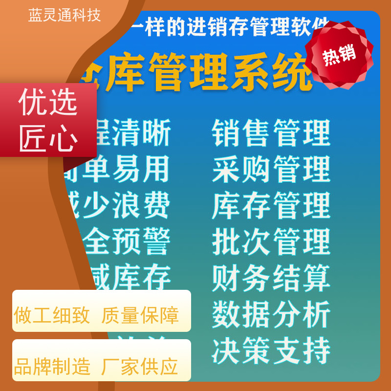 蓝灵通ERP 财务管理软件 定制/设计个性化ERP方案 高性价比