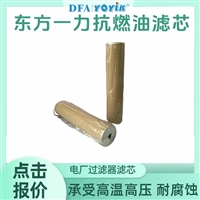 设备性能恢复  滤油器滤芯LY-48/25W-30（YOYIK）