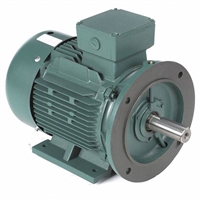 DUTCHI防滴式电动机 型号DM1 100L6  1.5KW 380V 6级