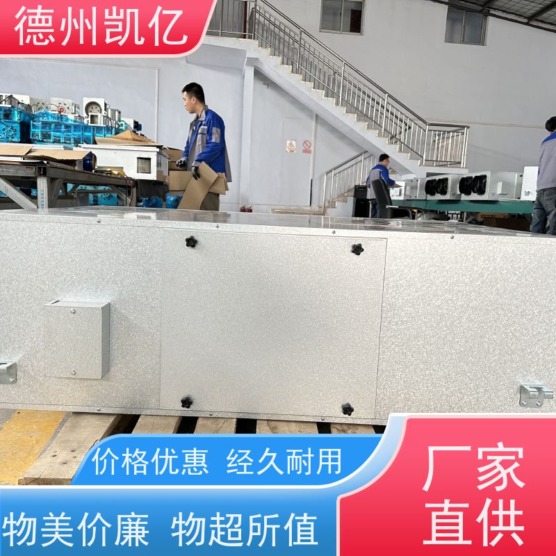 德州凯亿 天津吊顶式新风净化设备 可按需定制参数