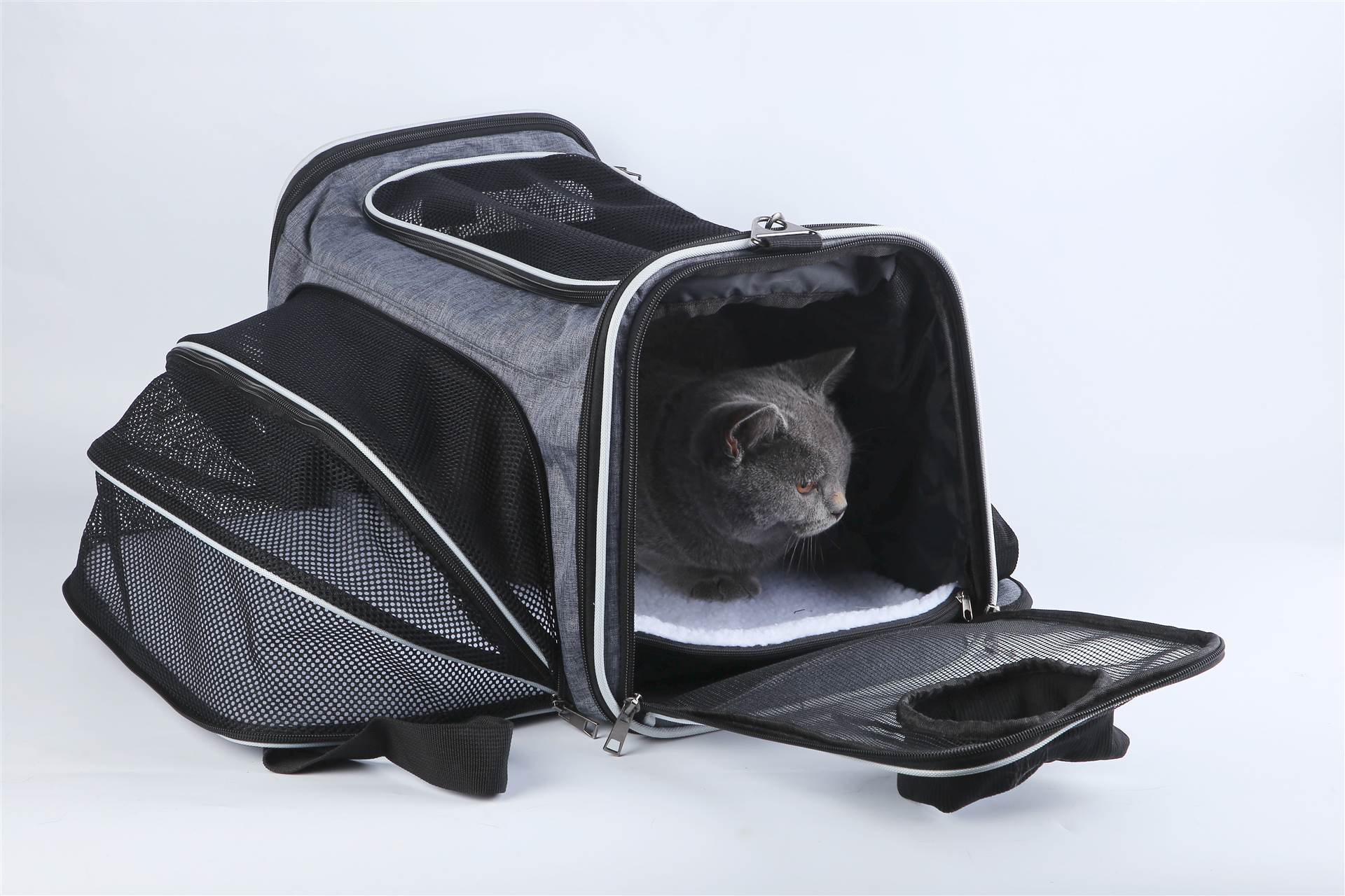 上海狗狗猫咪双肩包外出便携双肩包中小型犬用品手提折叠